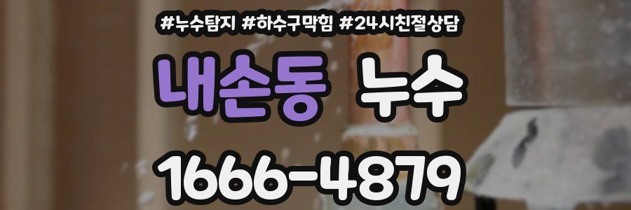내손동 누수