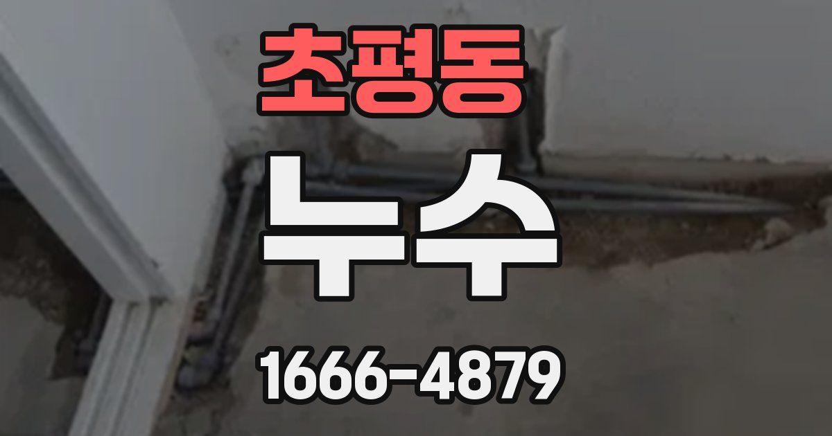 초평동 누수