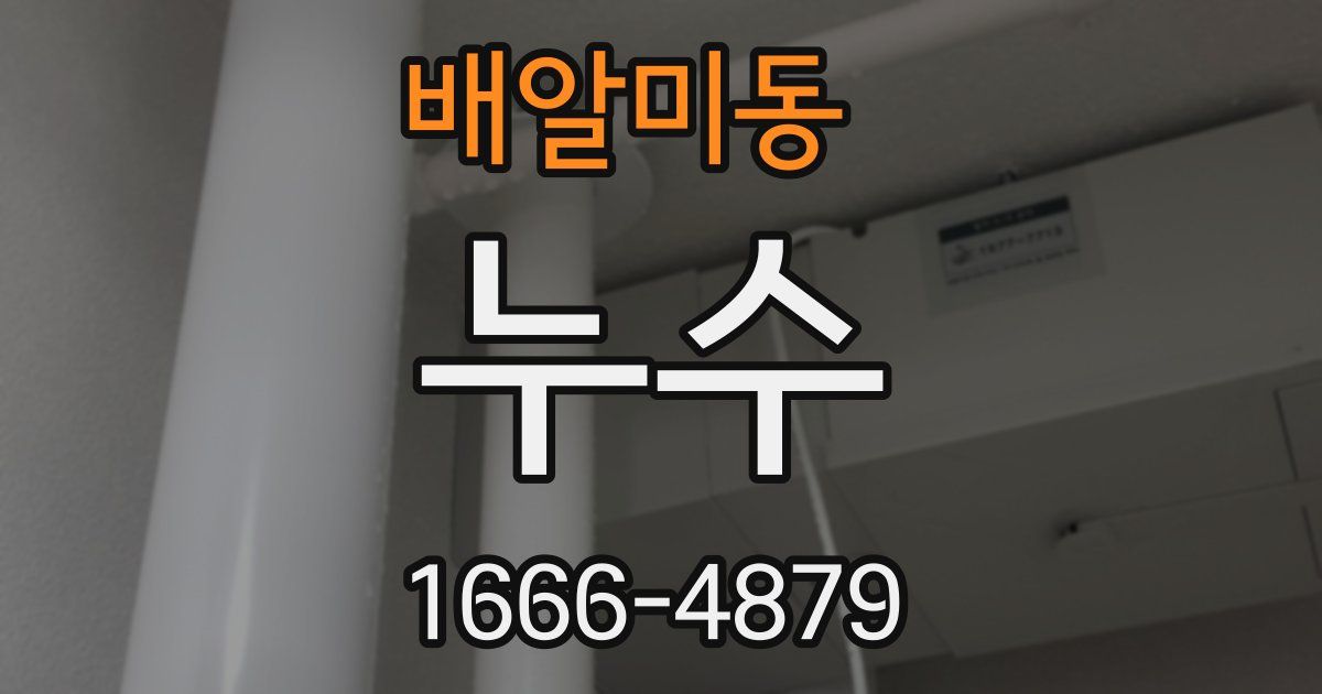 배알미동 누수