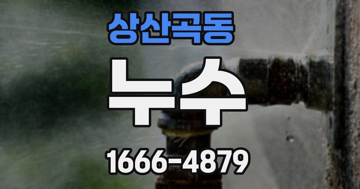 상산곡동 누수
