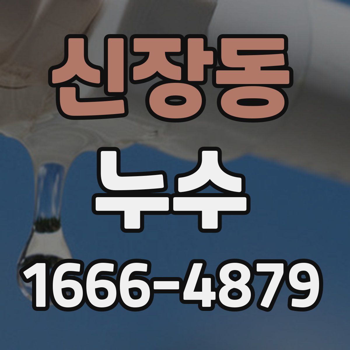 신장동 누수