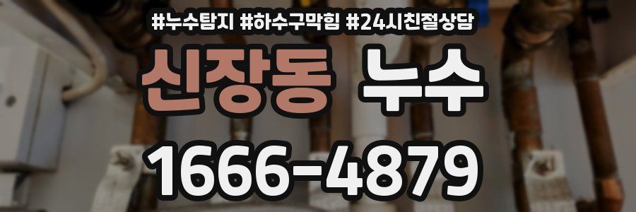 신장동 누수