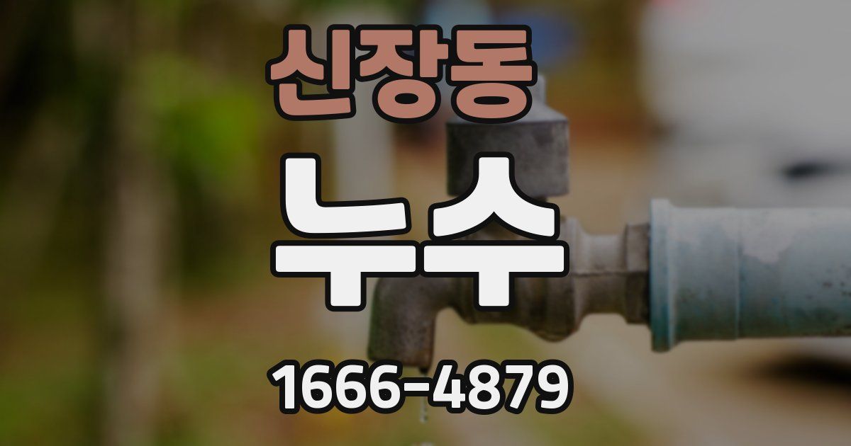 신장동 누수