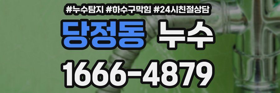 당정동 누수