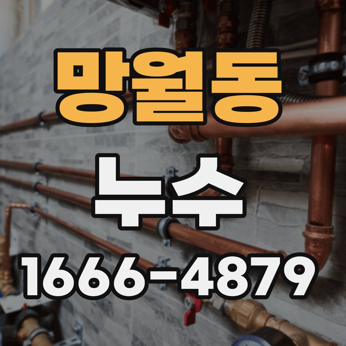 망월동 누수