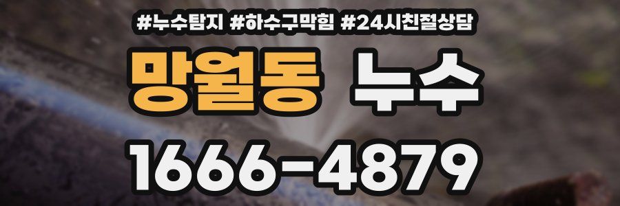 망월동 누수