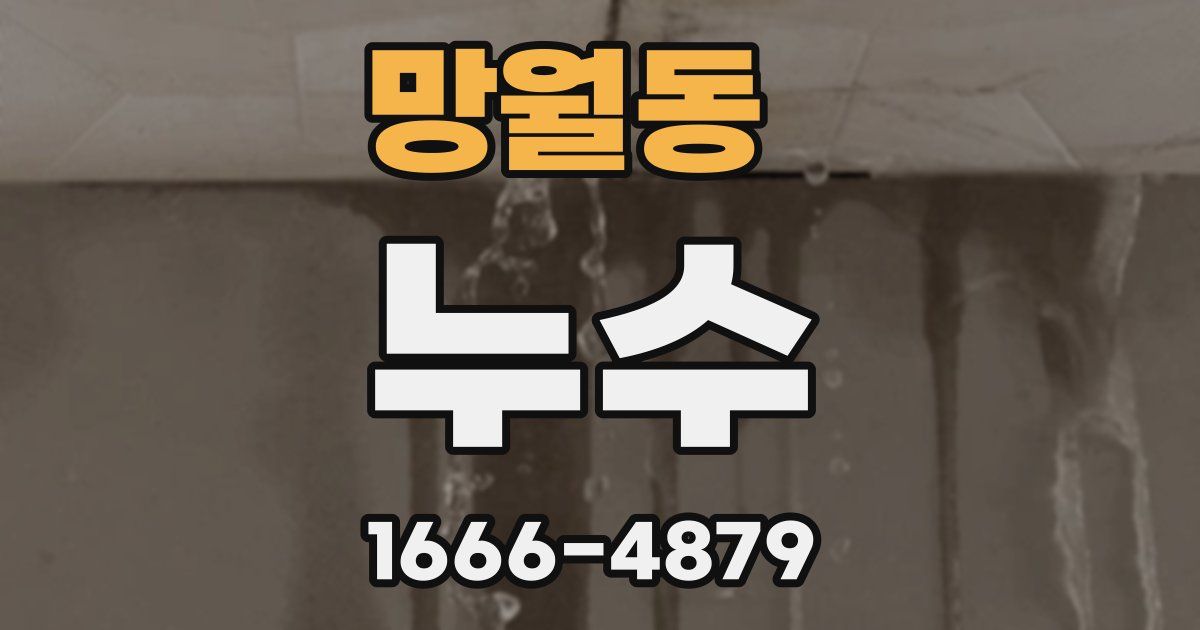 망월동 누수