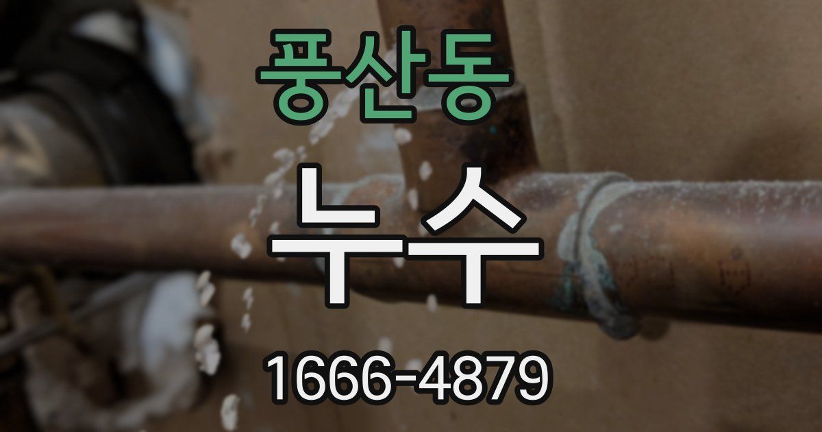 풍산동 누수
