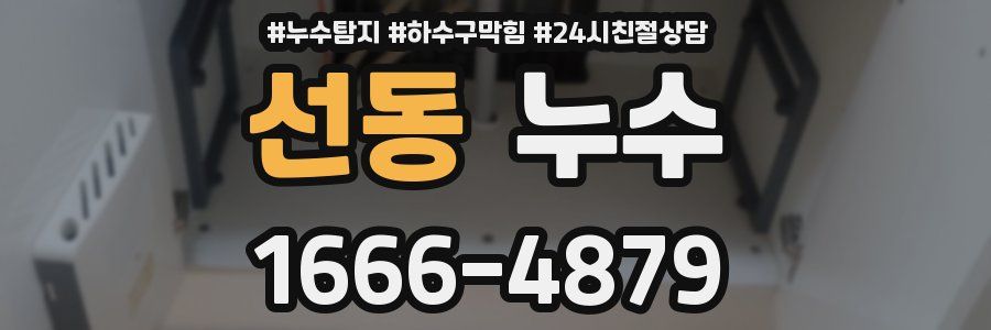 선동 누수