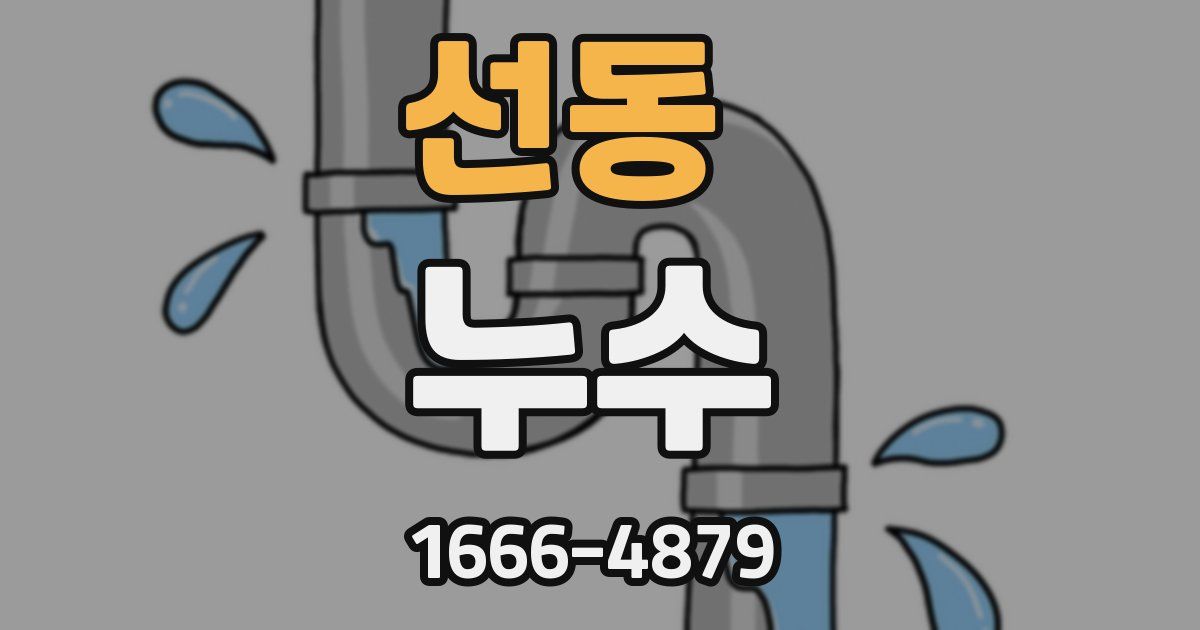 선동 누수