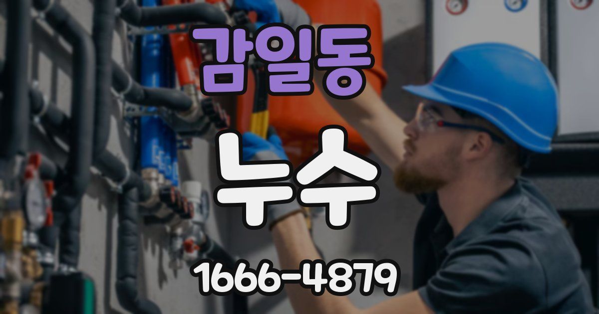감일동 누수