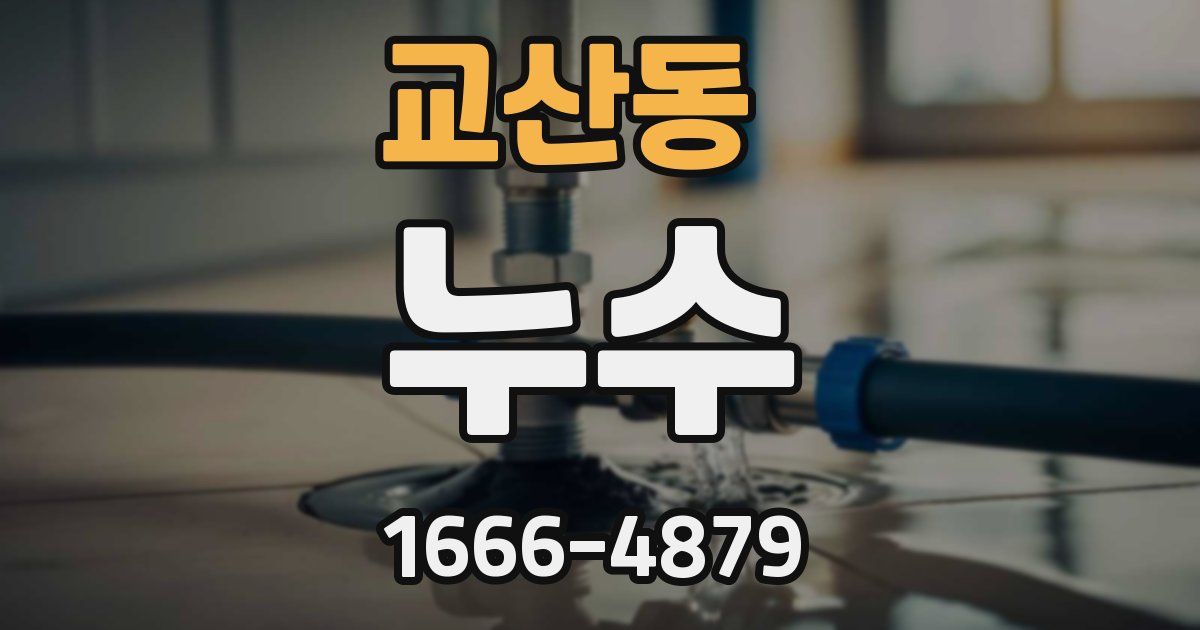 교산동 누수
