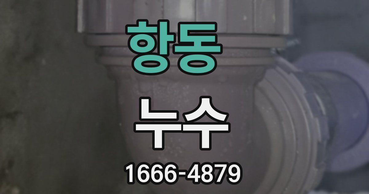 항동 누수