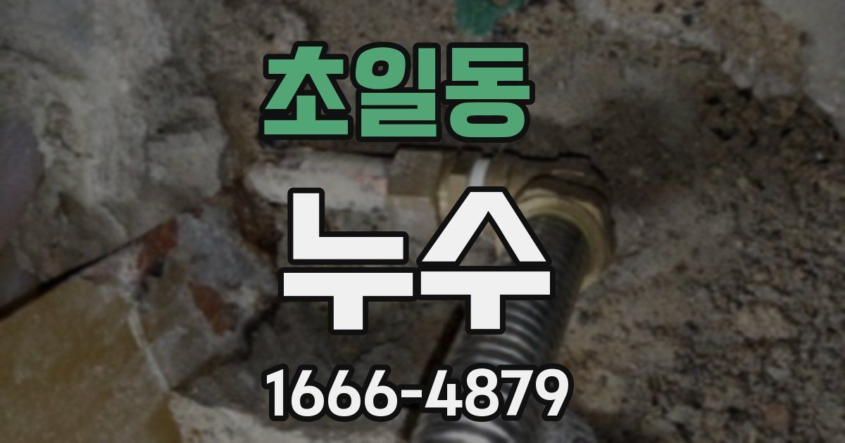 초일동 누수