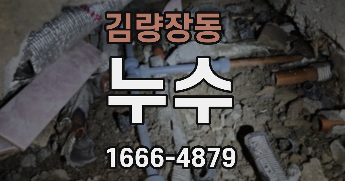 김량장동 누수