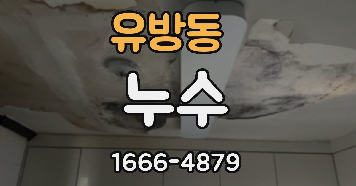 유방동 누수