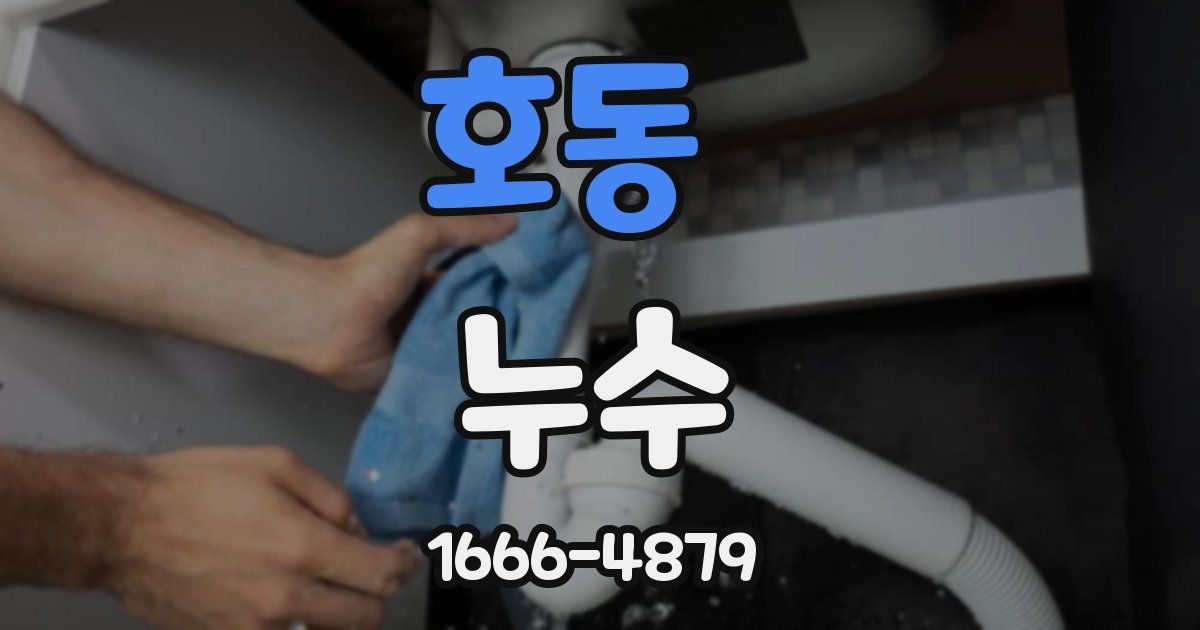 호동 누수