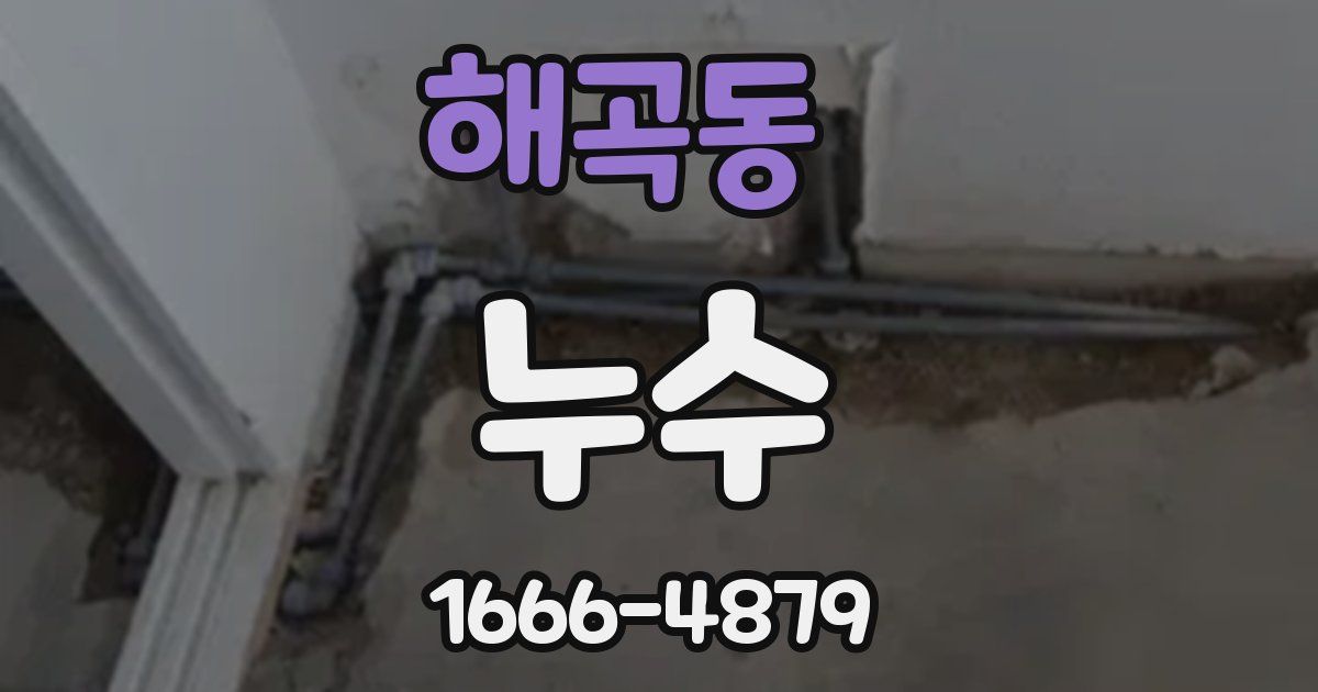 해곡동 누수