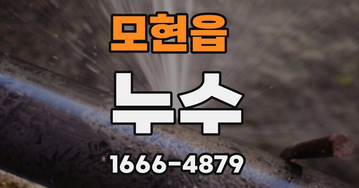 모현읍 누수