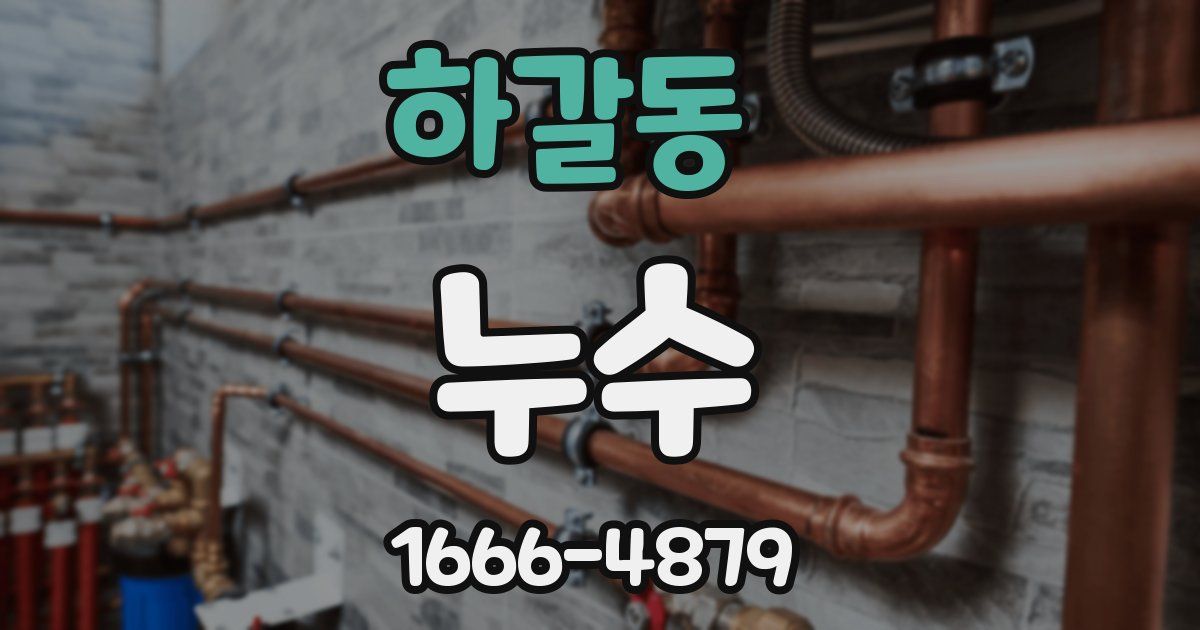 하갈동 누수