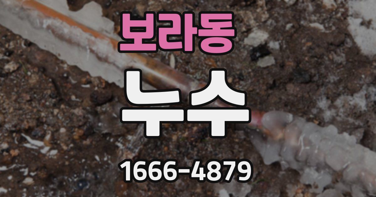 보라동 누수