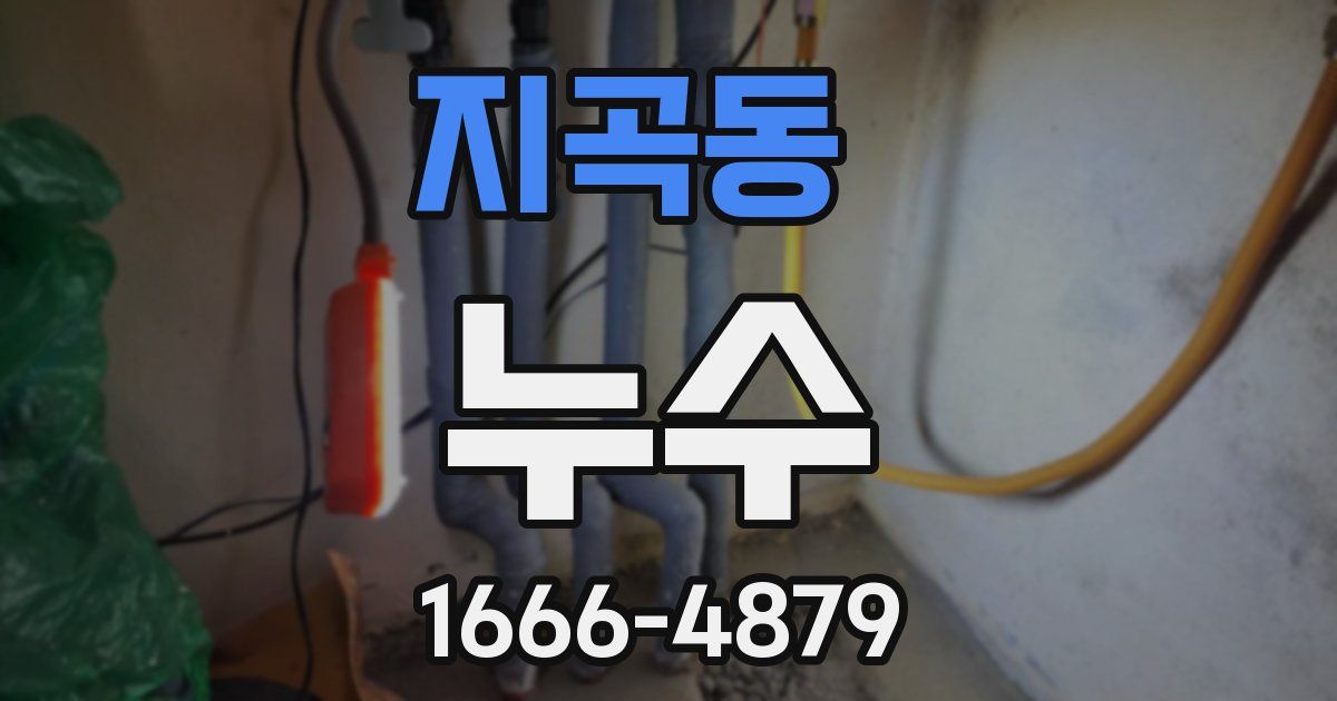 지곡동 누수