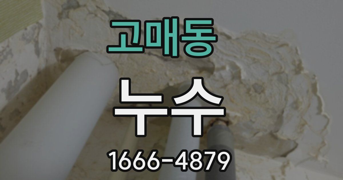 고매동 누수