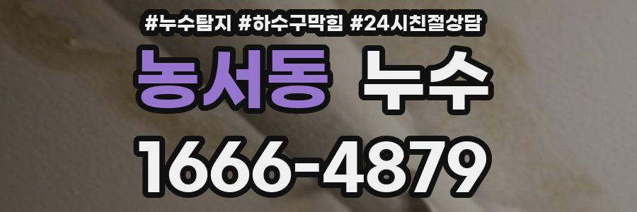 농서동 누수