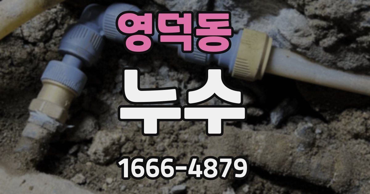 영덕동 누수