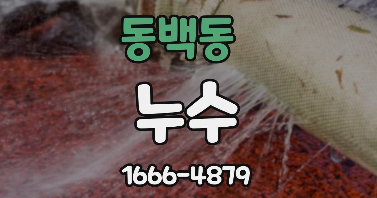 동백동 누수