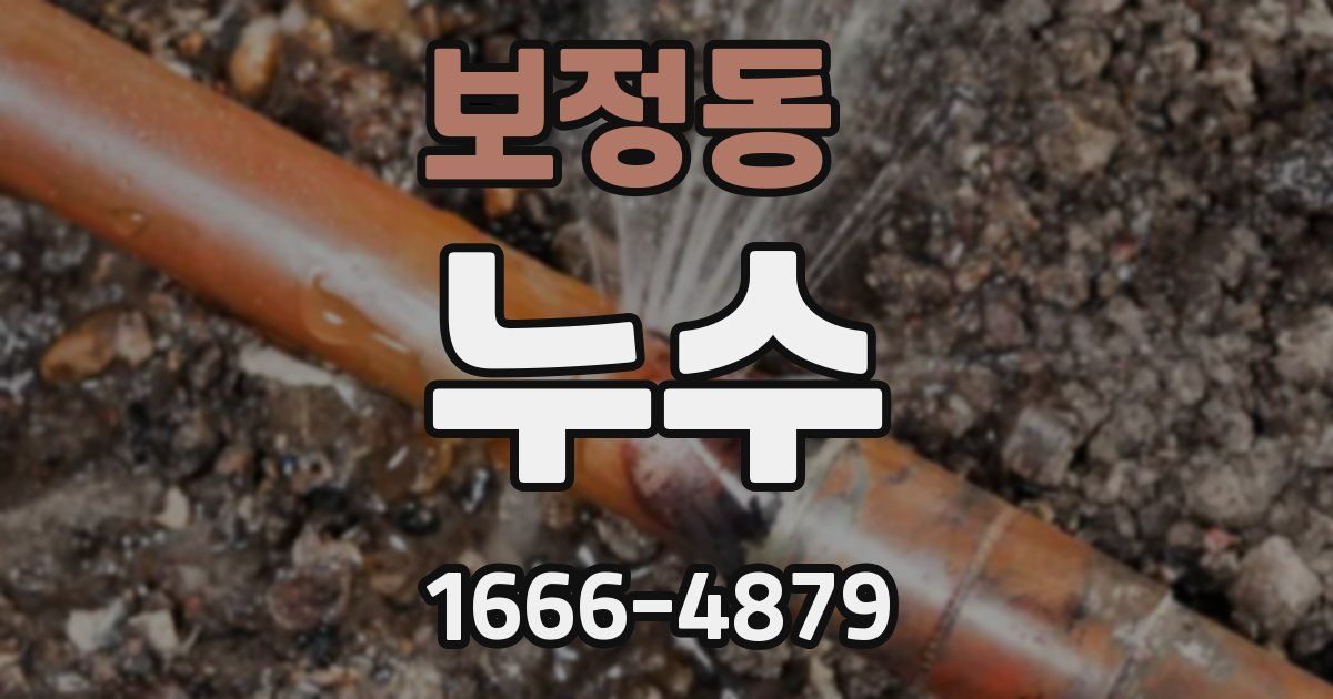 보정동 누수