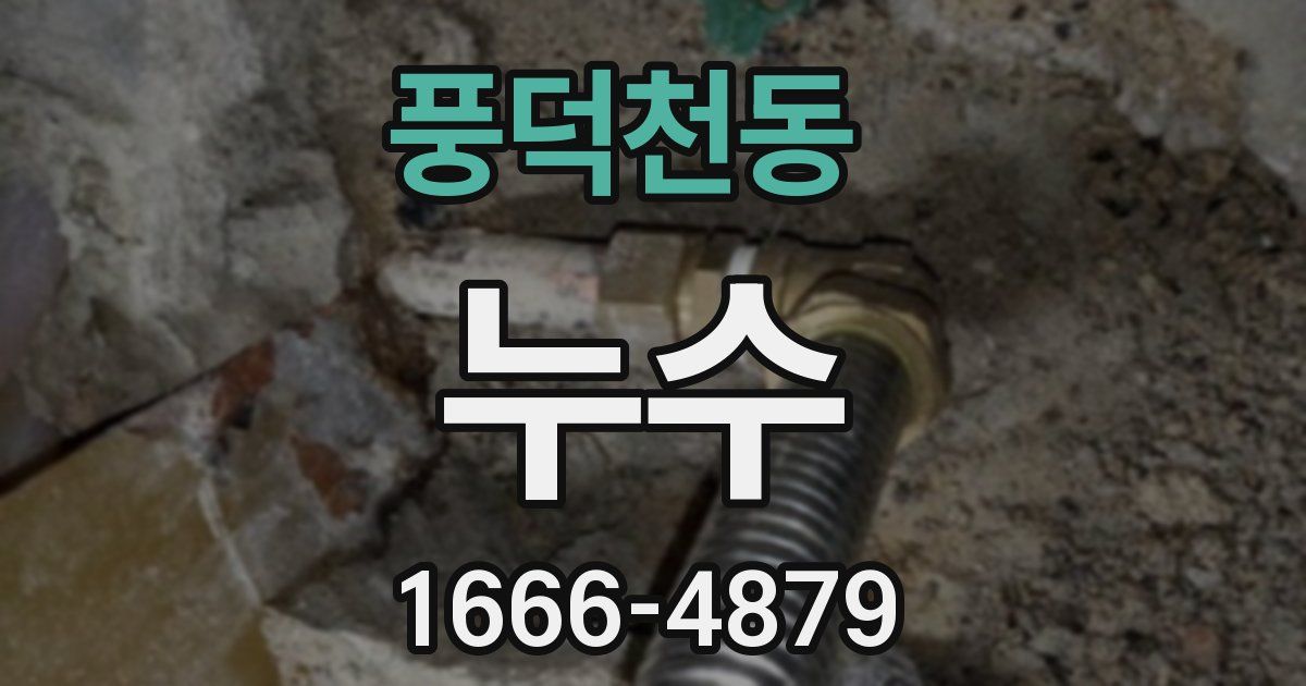 풍덕천동 누수