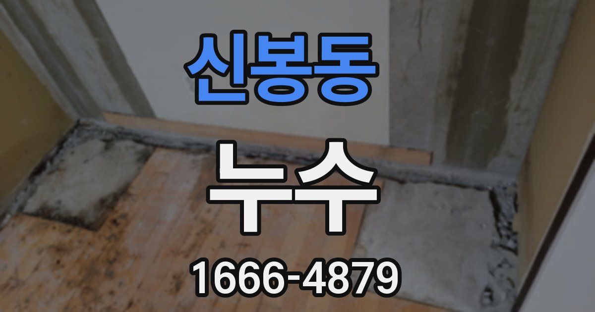 신봉동 누수
