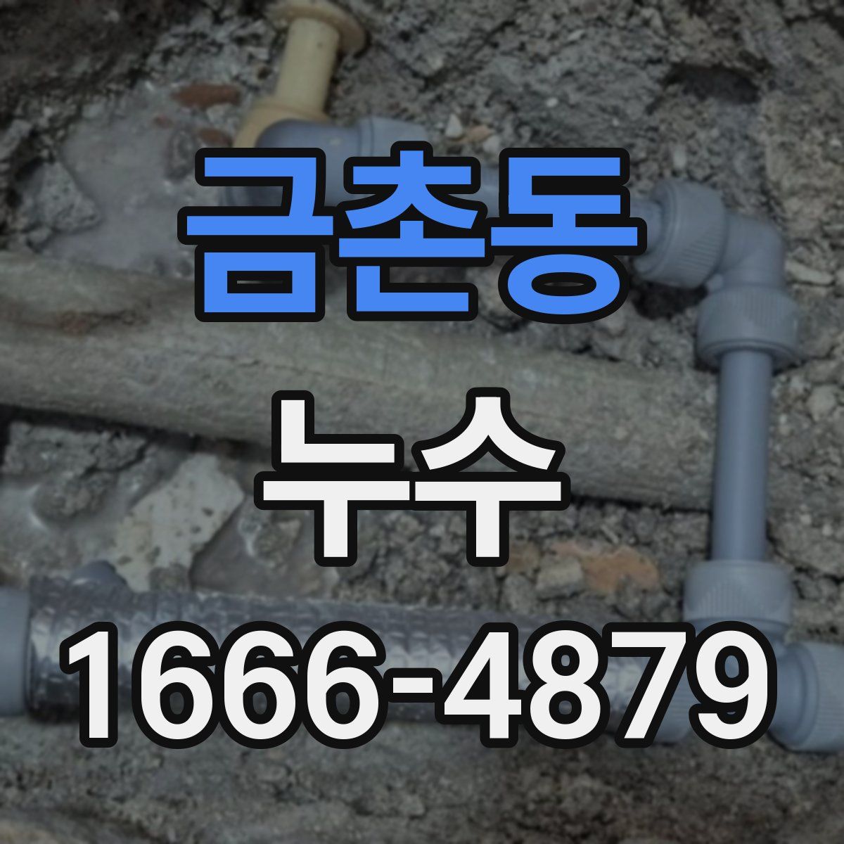 금촌동 누수
