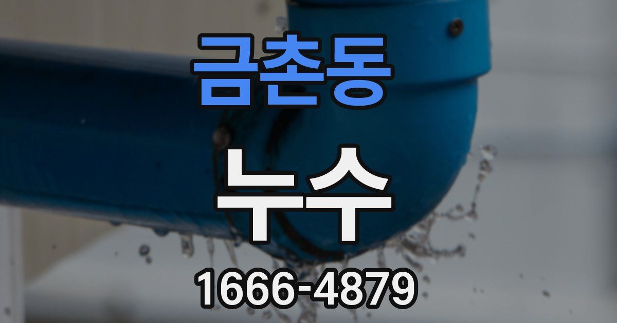 금촌동 누수