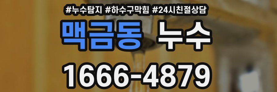 맥금동 누수