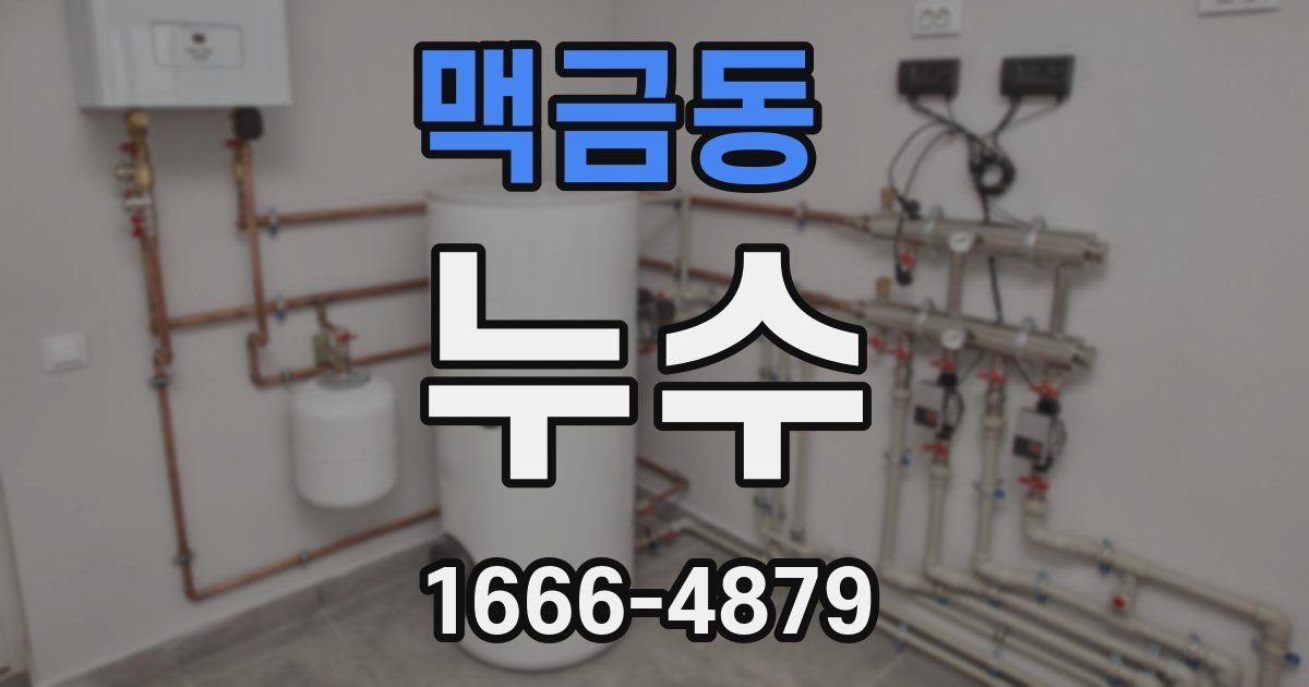 맥금동 누수