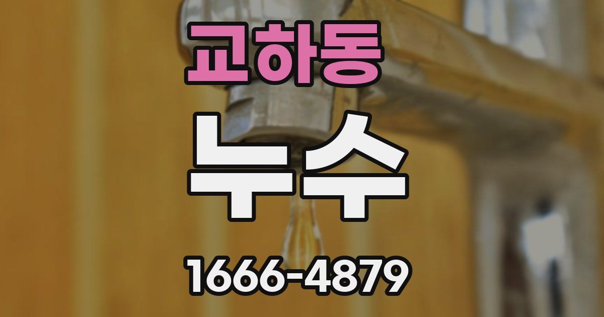 교하동 누수