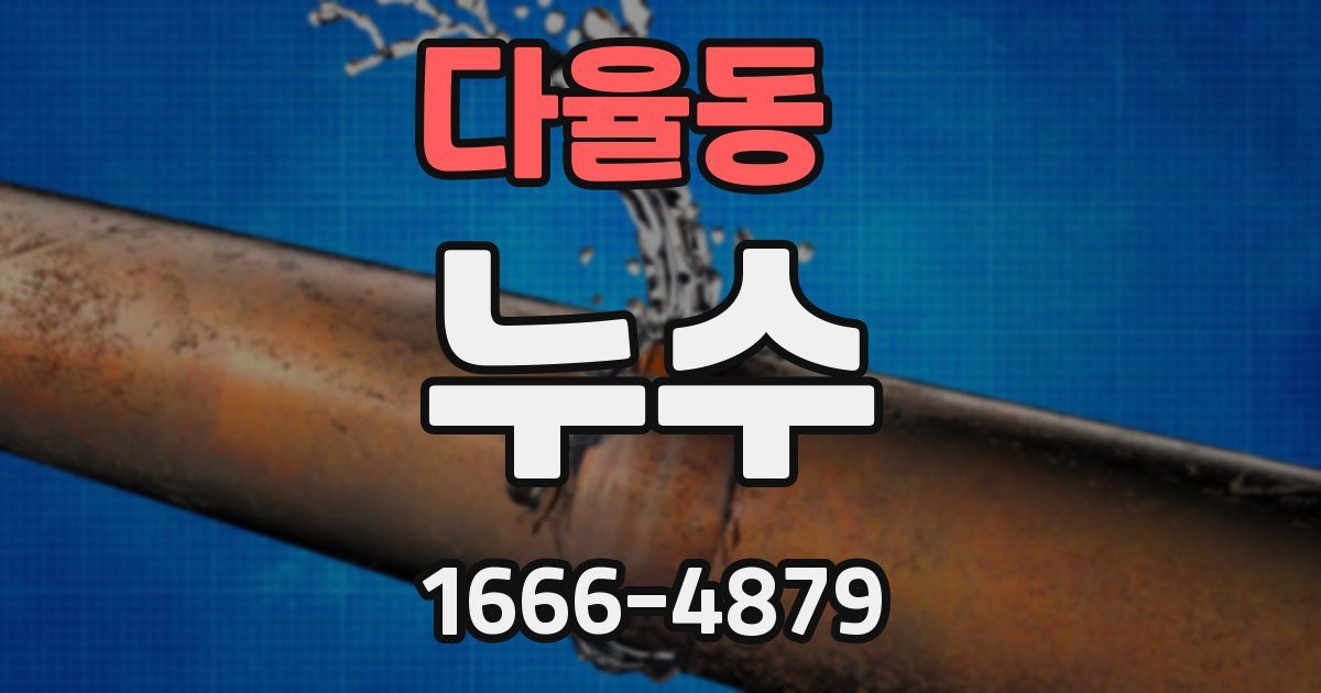 다율동 누수