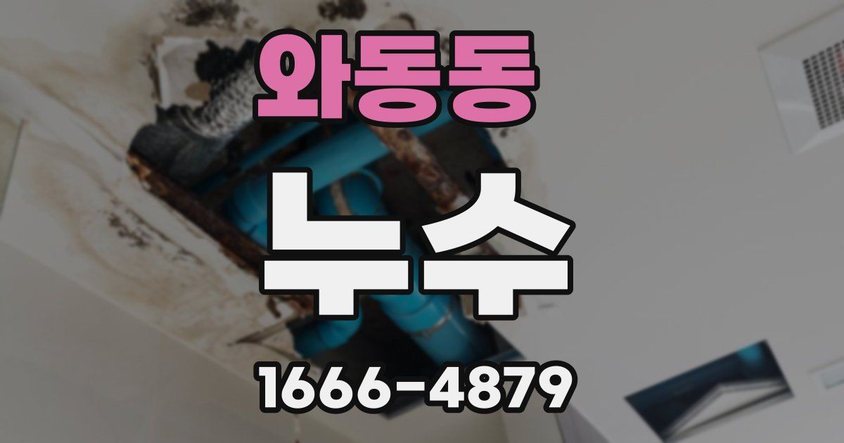 와동동 누수