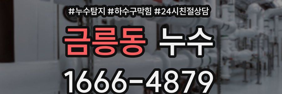 금릉동 누수