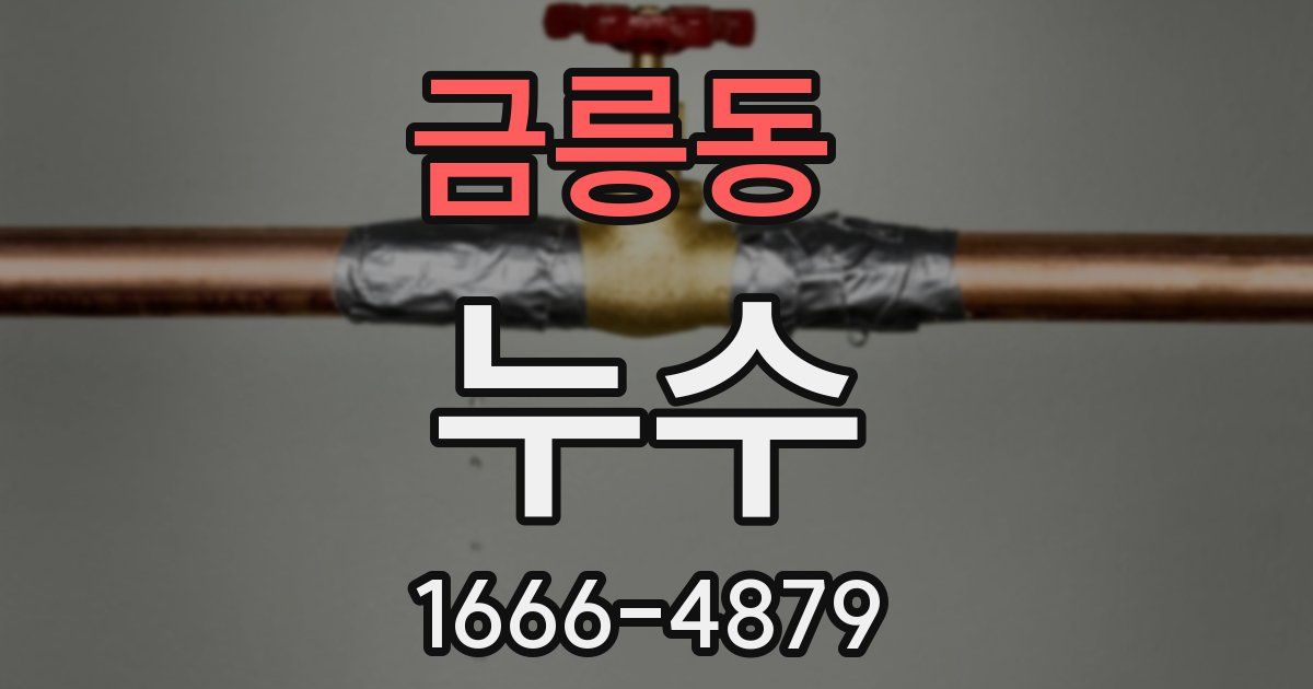 금릉동 누수