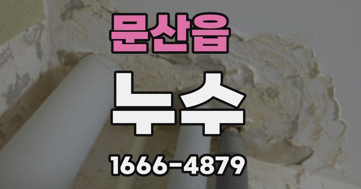 문산읍 누수