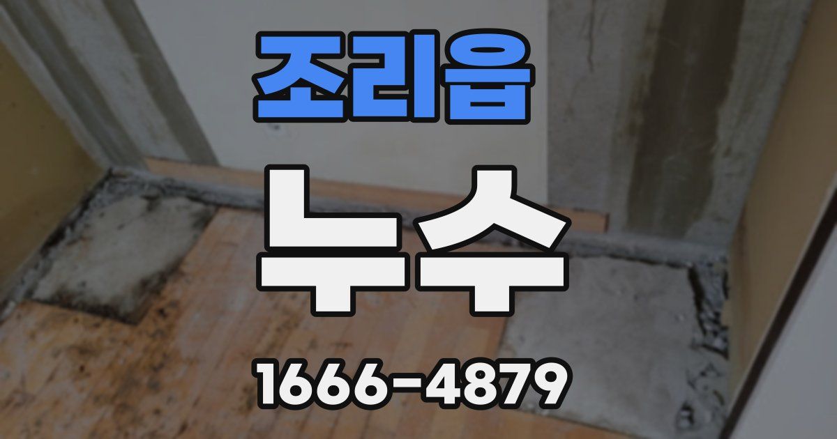 조리읍 누수
