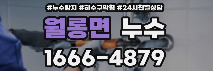 월롱면 누수