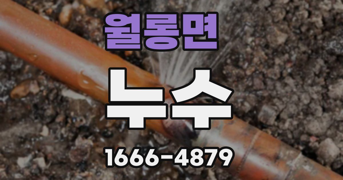 월롱면 누수