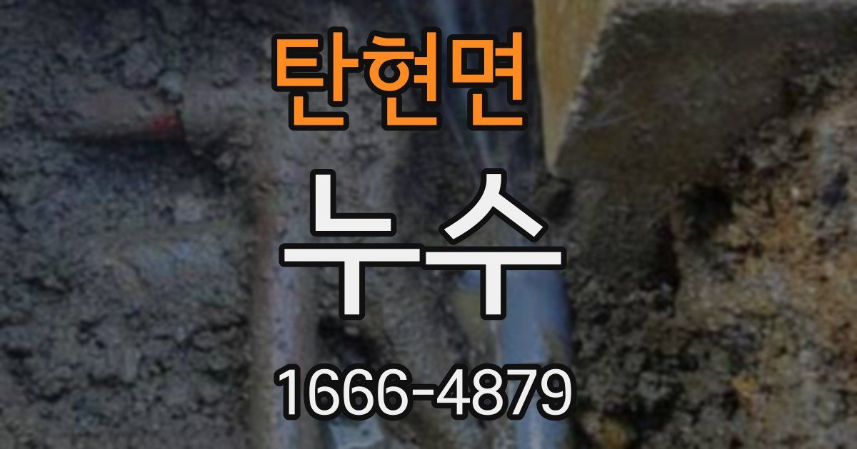 탄현면 누수