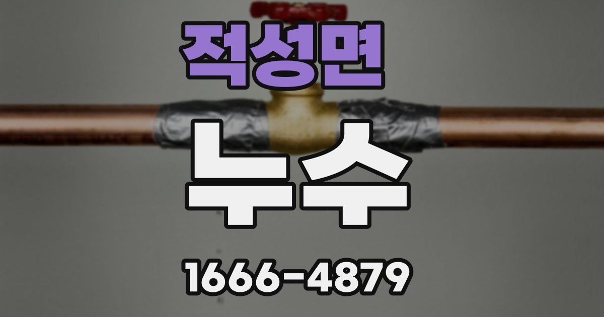 적성면 누수