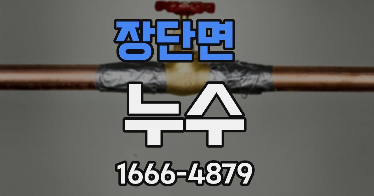 장단면 누수