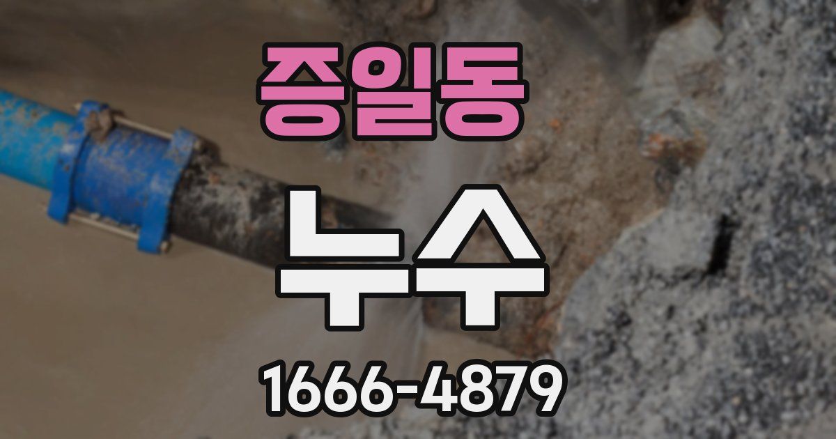 증일동 누수